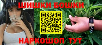 крисы Обь
