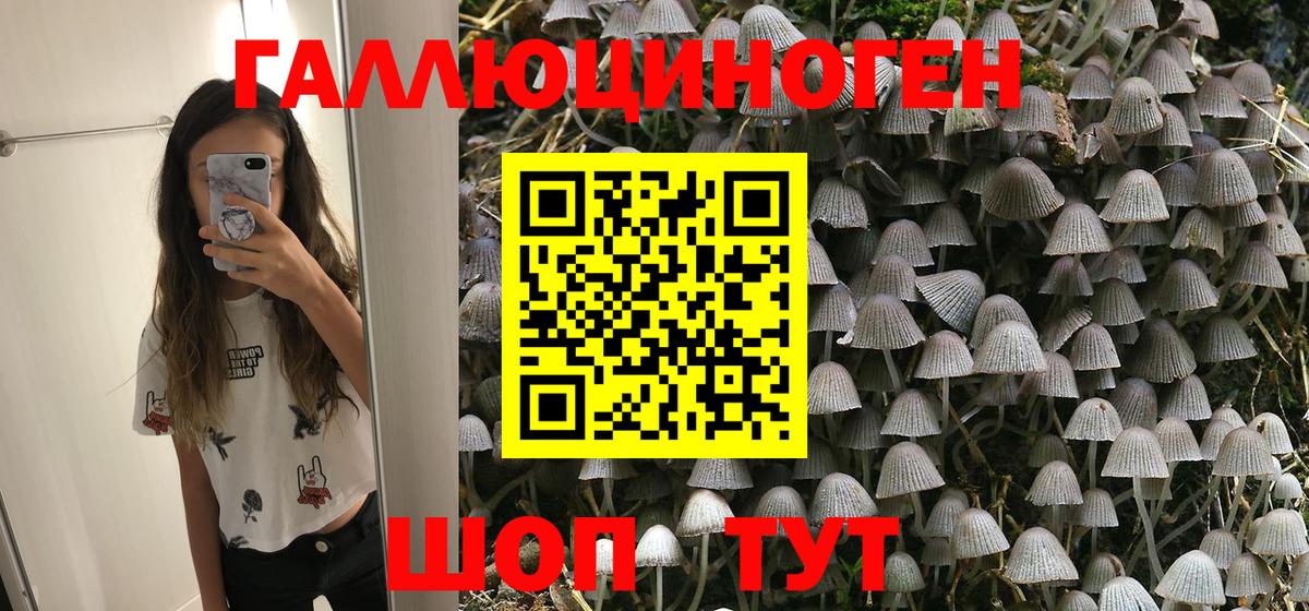 Галлюциногенные грибы Psilocybe Севастополь