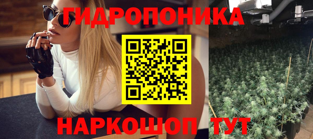 Канабис семена Севастополь